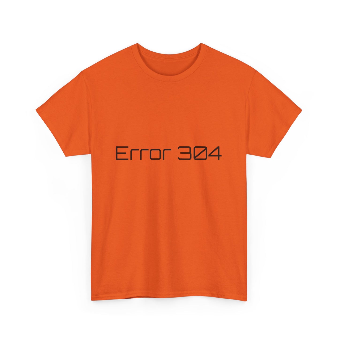 error 304
