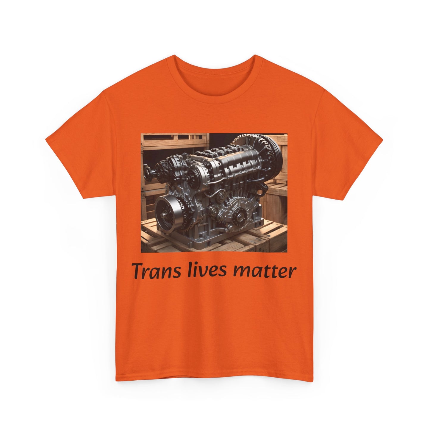 trans lives matter